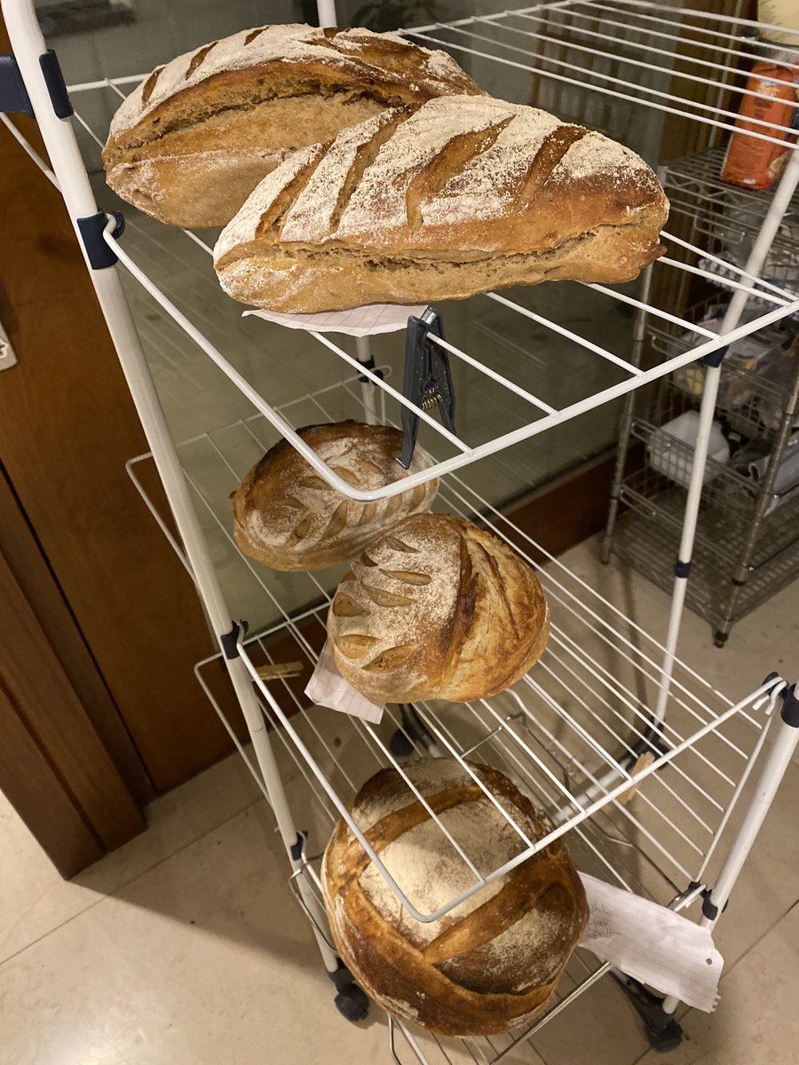 AidanOSulliva15's tweet photo. Might give up this Professoring lark, and go and bake bread #GettingOutOfHand 😀 https://t.co/T11sARAhLd