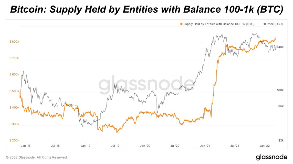 DylanLeClair's tweet photo. #Bitcoin supply held by entities with balances of 100-1k BTC breaking out to all time highs. https://t.co/w1lHAQyDsm
