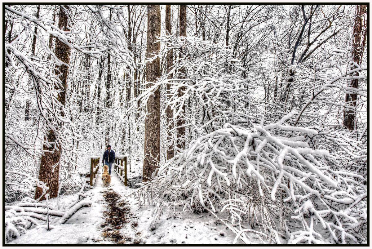 bilbowden's tweet image. Did Yorkers feel neglected that winter had passed them by? Finally we found a few inches of snow (3-6) on the ground when we crawled out of bed today, the biggest snowfall of the season. This hiker drove from Annville to visit Gifford Pinchot Park. @yorkcountypa @PaStateParks