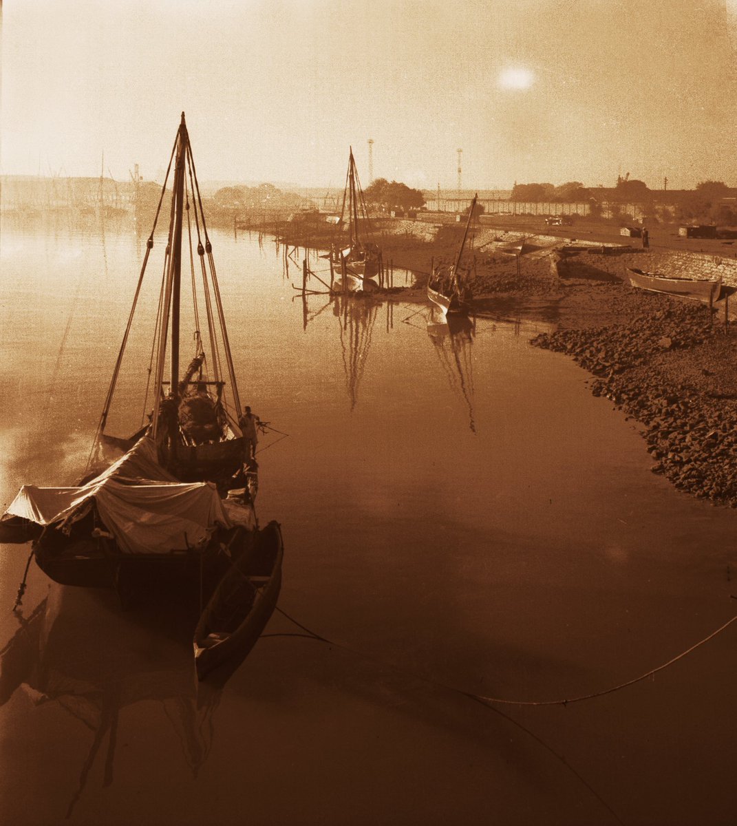 Master Archives tweet media