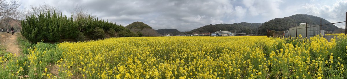 PENSION Little Wave (@littlewave2011) on Twitter photo 