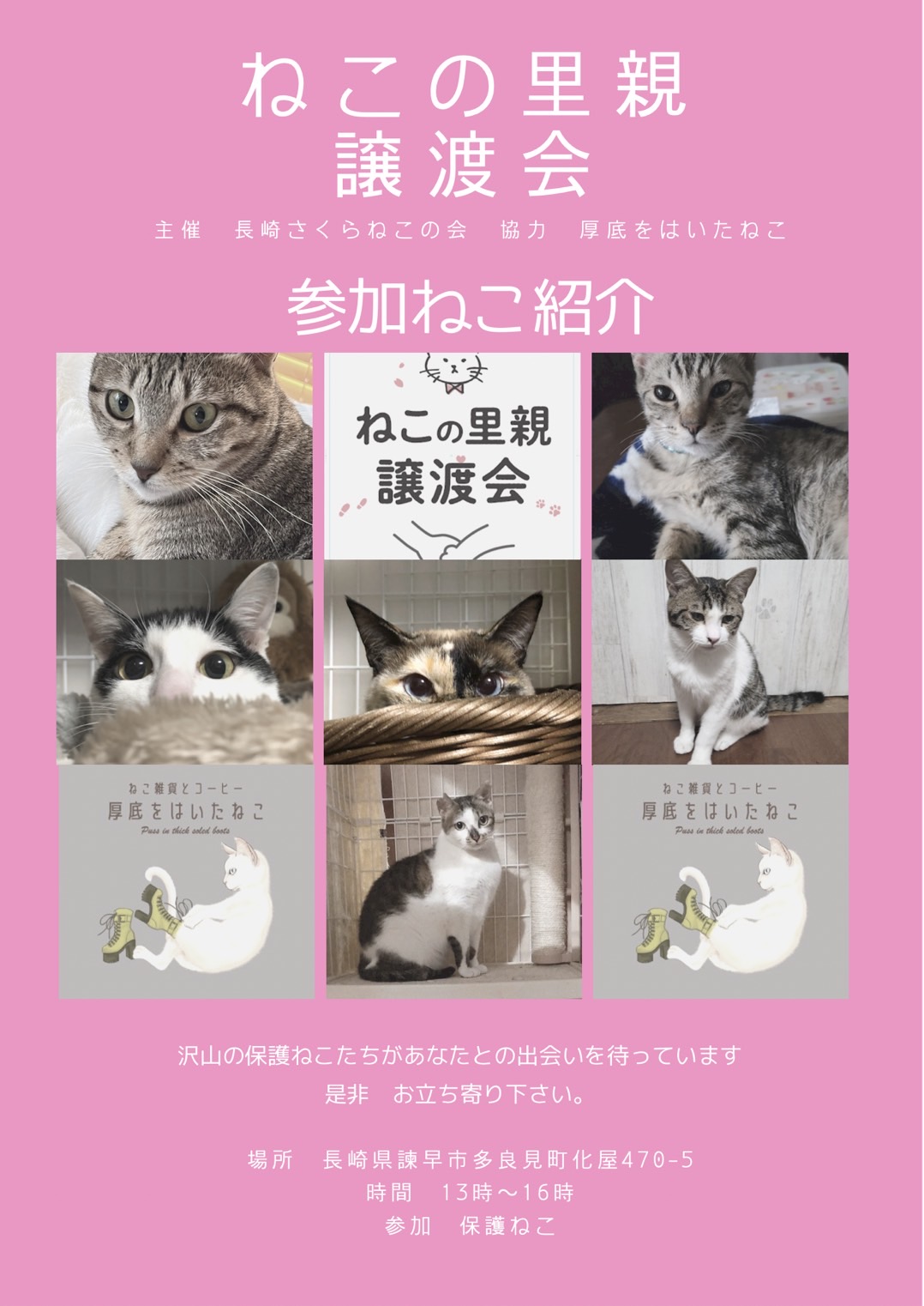 Twitter এ Pupiko 譲渡会のお知らせ 本日 3月13日 13時 16時 諫早市多良見町 厚底をはいたねこ 主催 長崎さくらねこの会 保護猫 里親募集 譲渡会 長崎さくらねこの会 厚底をはいたねこ 長崎ねこの会 個人ボランティア 長崎県 諫早市 長崎市 Pupiko Twitter এ Pupiko 譲渡会のお知らせ 本日 3月13日 13時 16時 諫早市多良見町 厚底をはいたねこ 主催 長崎さくらねこの会 保護猫 里親募集 譲渡会 長崎さくらねこの会 厚底をはいたねこ 長崎ねこの会 個人ボランティア 長崎県 諫早市 長崎市 Pupiko