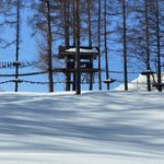 ツイートに含まれる画像