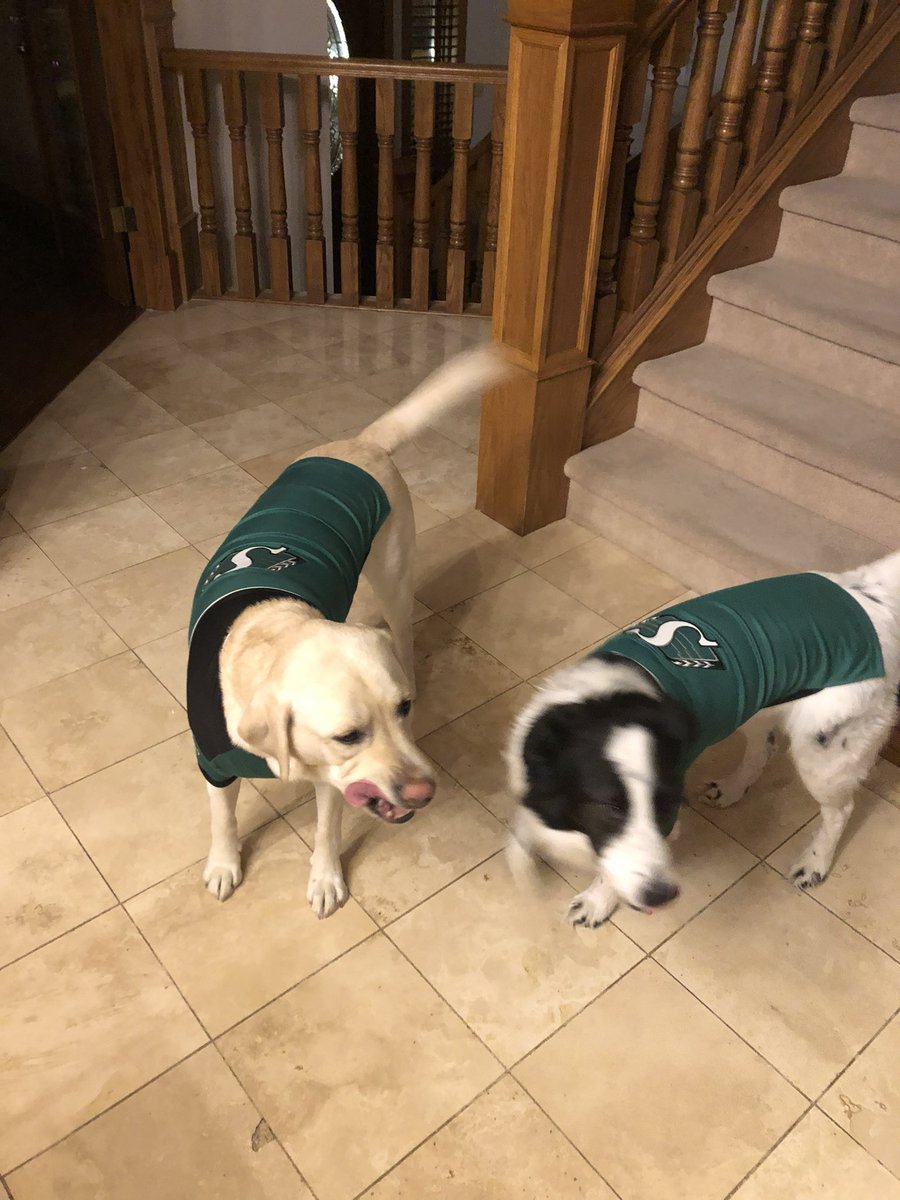 K_Fowler_74's tweet photo. @CodyFajardo17 @sskroughriders https://t.co/UOMRzLBXAQ