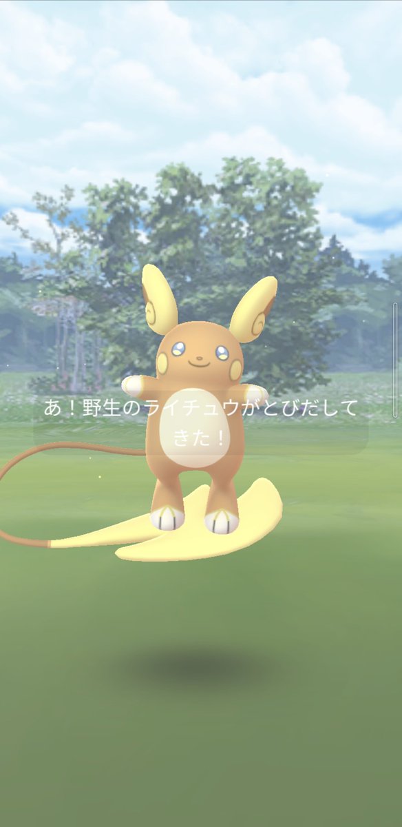 アローラライチュウ Twitter Search Twitter アローラライチュウ Twitter Search Twitter