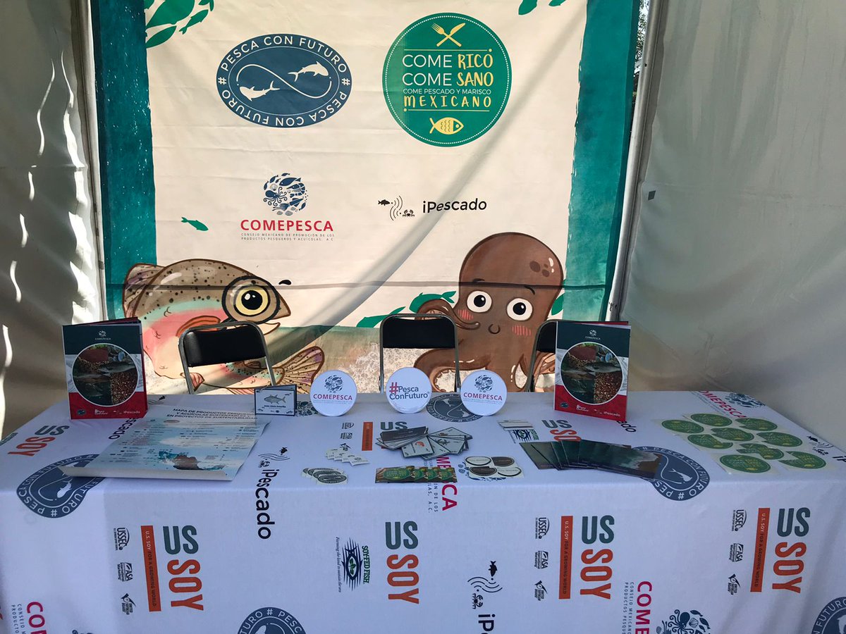 MarlenRubio's tweet photo. Visita el stand de @pescaconfuturo en @SaborEsPolanco y entérate de las especies certificadas!! #sostenibilidad #mexicosostenible #sustentabilidad #comericocomesano https://t.co/UbX6vlBeYl