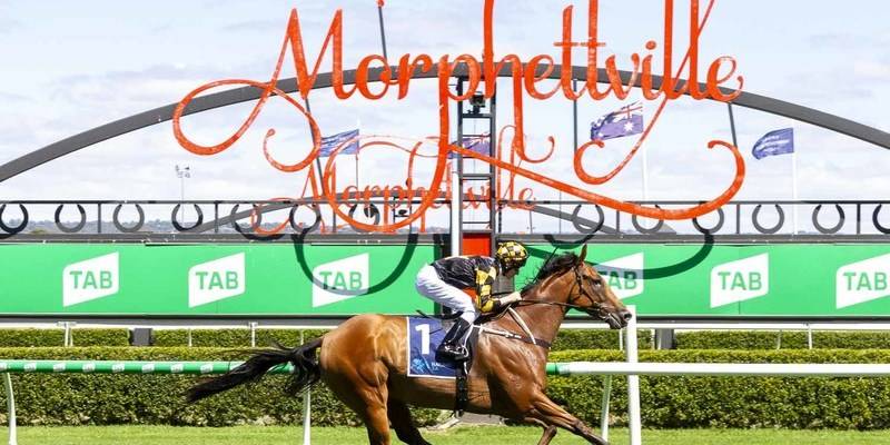 SterilineRacing's tweet photo. As a South Australian Company, we are proud the ‘locals’ choose us from start to finish for the Morphettville Racecourse Adelaide Cup. Did you know our gates start the race and our winning posts finish it??   #adelaidecup #sajc #horseracing
https://t.co/aZ4xwFXIb6 https://t.co/1iVOFWvg20