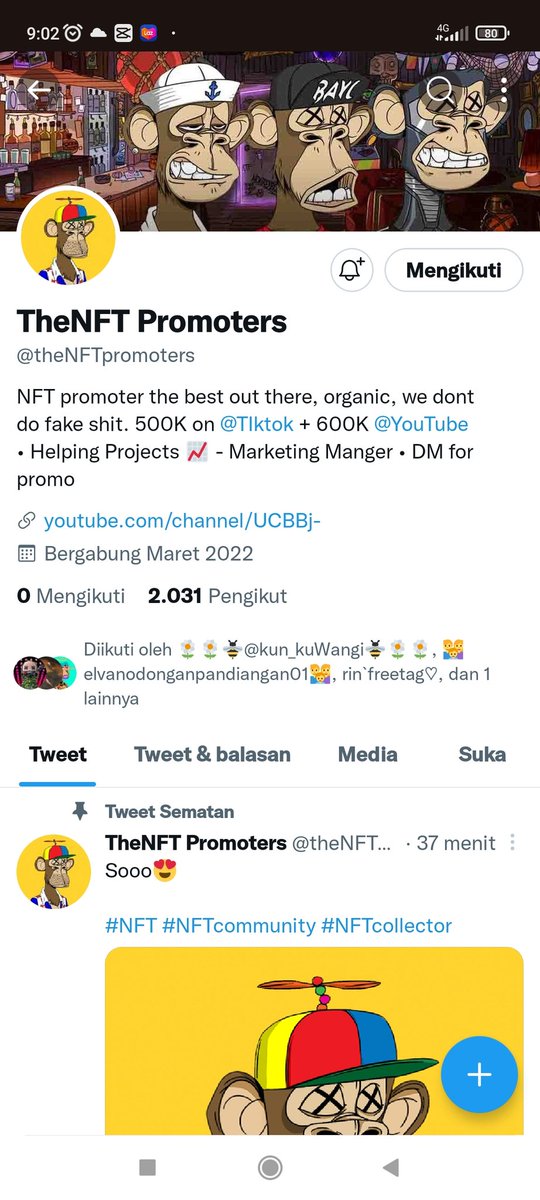penak_nganu's tweet photo. @princesspromos_ @theNFTpromoters Done https://t.co/oYCxAKbcTV