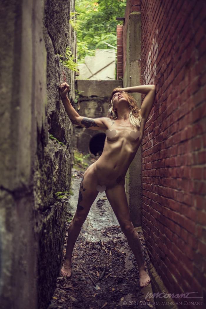 MsBambi92's tweet photo. Photographer William Morgan https://t.co/GMkwCR2p4h