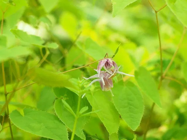 セシリア 心ケアするプロ鑑定歴３０年スピフルエンサー S Tweet ３ １３の運勢 石橋を叩いてばかりではスタートが切れないかも 情報を集めながらまず一歩踏みだそう ラッキーカラー ベージュ ラッキーフード デニッシュパン ラッキースポット