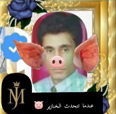 💎🆅🅸🅿 tweet media