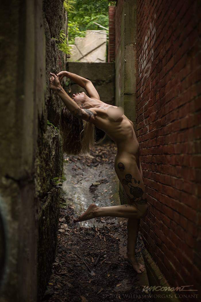 MsBambi92's tweet photo. Photographer William Morgan https://t.co/jQolOrY2Op