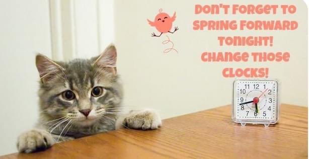 Philadoptables's tweet photo. #SpringForward #marchahead #loseanhour https://t.co/oQ9ebB6QoC