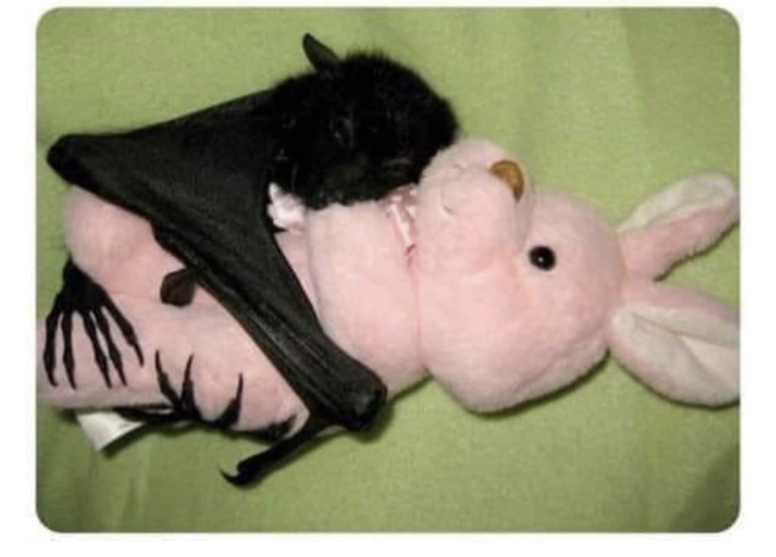 ValerieYeva's tweet photo. This is pretty much the vibe of most of my writing. Actually,Iโll admit it- itโs my whole vibe. This is me, in a photo.๐ #writing #spookybutsweet #weirdos #writerscommunity #ilikepink https://t.co/otVDcDT7tn