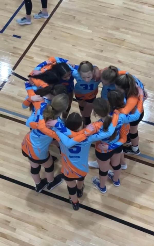 New England Shock tweet media