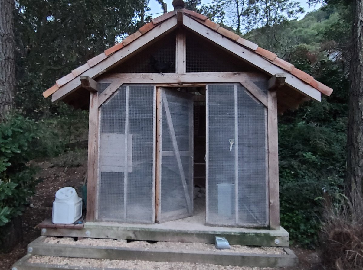 David 'JoelKatz' Schwartz tweet media