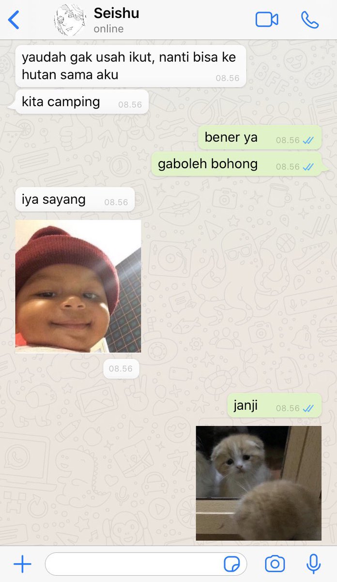 sxanemi's tweet photo. #seisen / #inusen two tweets au 

selamat hari minggu https://t.co/AmHc7QL2RC
