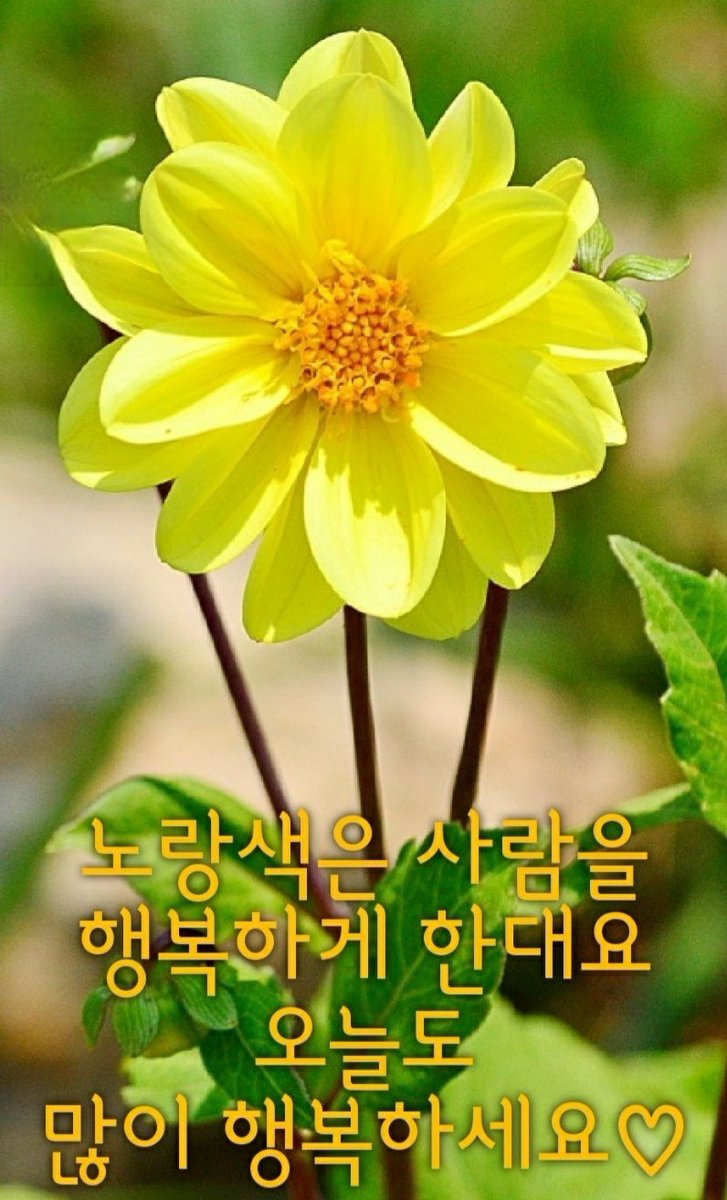 이완수 (@dltn118874) on Twitter photo 