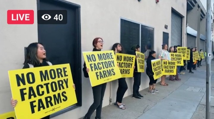 DxEverywhere's tweet photo. LIVE at #Costco projecting “Imperial Dust” to expose the criminal animal cruelty &amp; environmental destruction behind @Costco supplier @OneWorldBeef. #NoMoreFactoryFarms #AB2764
https://t.co/9106Iz2vDu
Watch:
https://t.co/xjn6ju4SNV https://t.co/PNY0WB6H0E