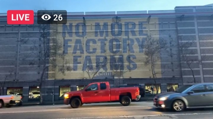 DxEverywhere's tweet photo. LIVE at #Costco projecting “Imperial Dust” to expose the criminal animal cruelty &amp; environmental destruction behind @Costco supplier @OneWorldBeef. #NoMoreFactoryFarms #AB2764
https://t.co/9106Iz2vDu
Watch:
https://t.co/xjn6ju4SNV https://t.co/PNY0WB6H0E