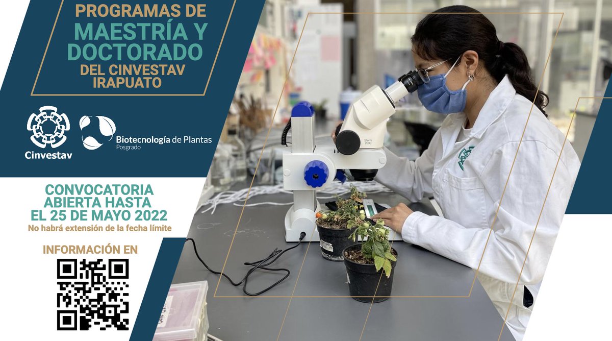 🟢Se encuentra abierta la convocatoria 2022 para los programas de <a href="/biotec_plantas/">Biotecnología de Plantas CINVESTAV</a> y <a href="/BiolIntegrativa/">Biología Integrativa Cinvestav</a> para maestría y doctorado.

📅Cierre de convocatoria: 25 de mayo de 2022.
🔴No habrá extensión de la fecha límite.

👉Más información en: ira.cinvestav.mx/posgrados/