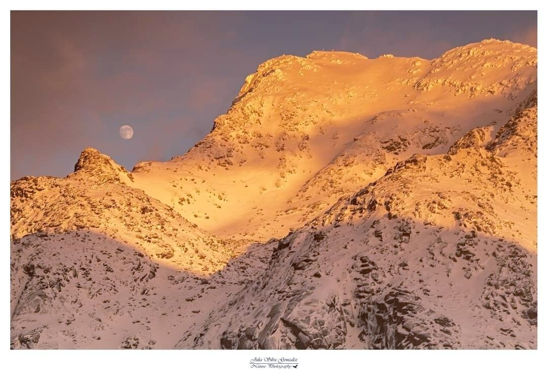 Chijuchili's tweet photo. Entre luces y sombras no podía dejar pasar esta luna llena de la isla Lofoten....

#Lofoten
#nature_photo
#naturephotogrsphy
#canonespana
#landscapedesign 
#landscapephotography
#paisaje
#naturephotography 
#naturelovers 
#naturecaptures 
#nature_brilliance https://t.co/Yew11BBK5P