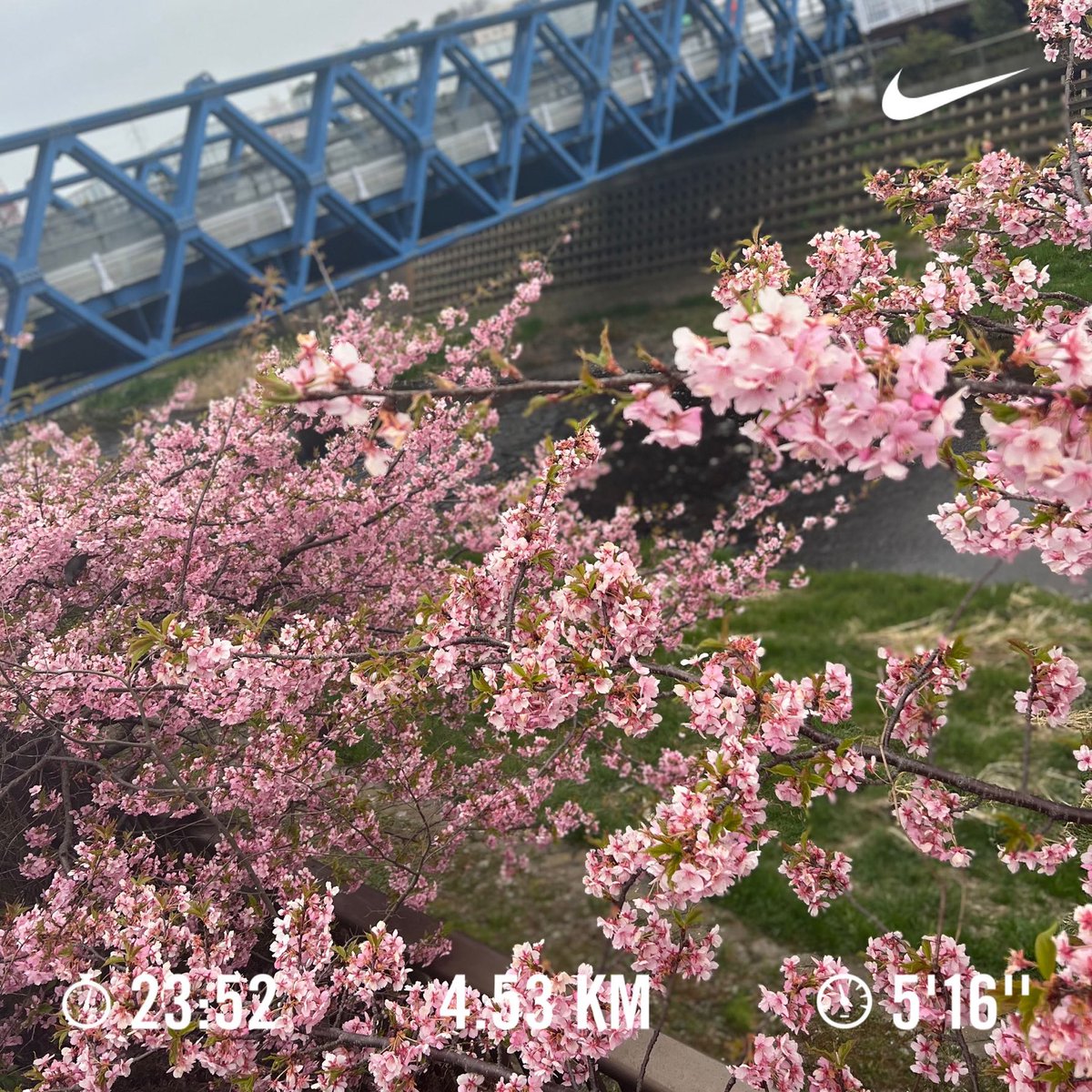 jima0505's tweet photo. くっそ久々にリハビリラン🏃‍♂️🏃‍♂️🏃‍♂️
足腰激痛🙄

#ジマラン
#ジマカメ
#リハビリラン https://t.co/GLDswen6CD