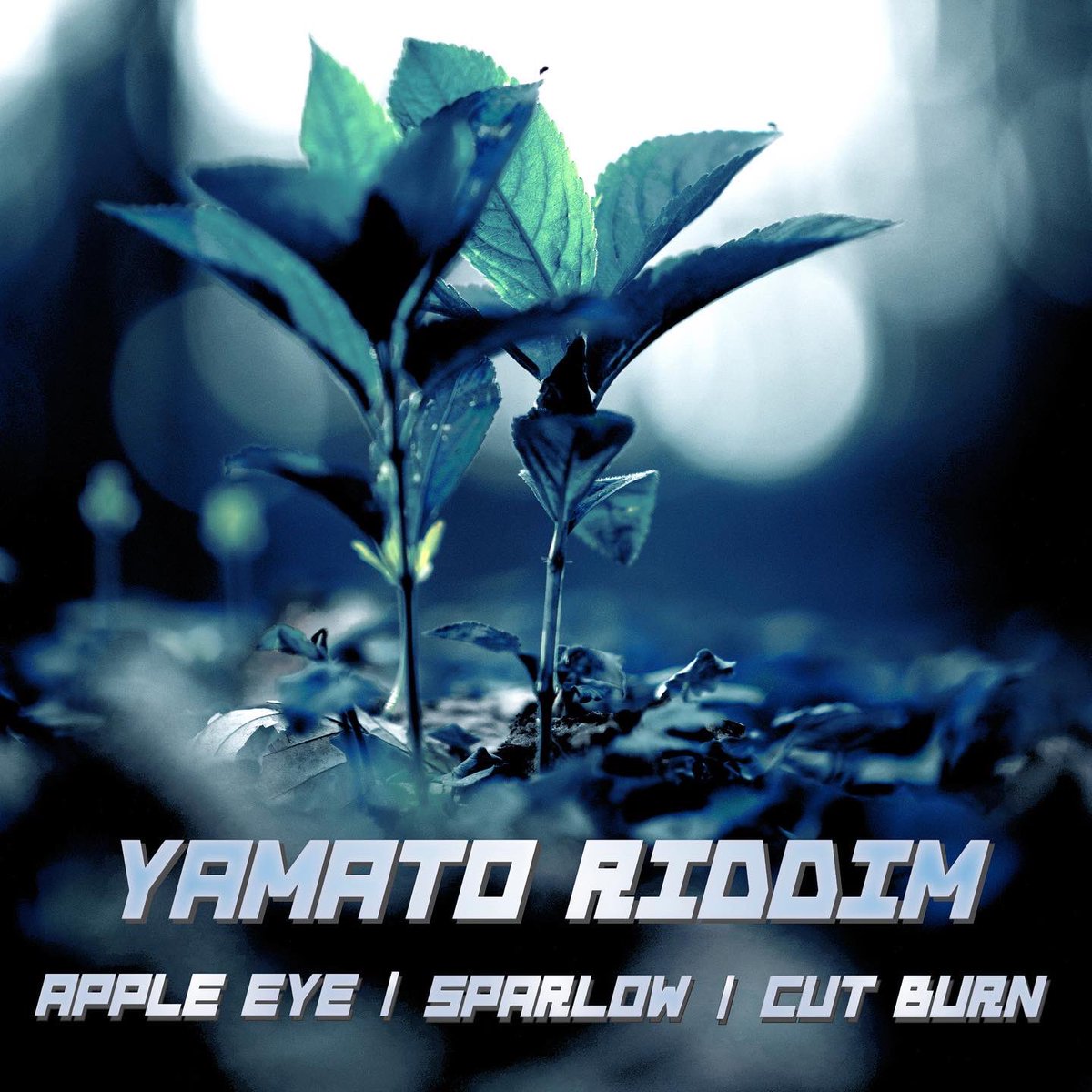 CUT BURN tweet media