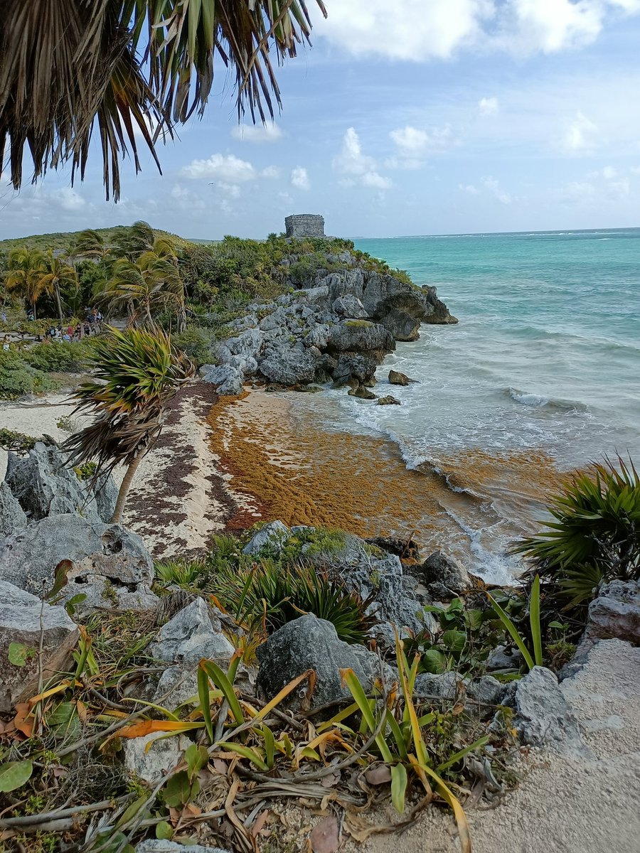 daniel_gx's tweet photo. Zona Arqueológica de Tulum, Quintana Roo. https://t.co/N2Mj1WNXdA