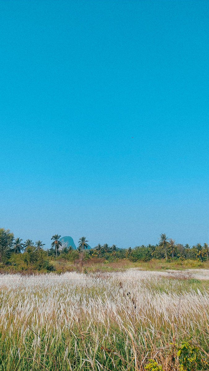 afqzmbr's tweet photo. Scenic Perlis @VisitPerlisMY #perlis #visitperlis https://t.co/07caBsJsOq