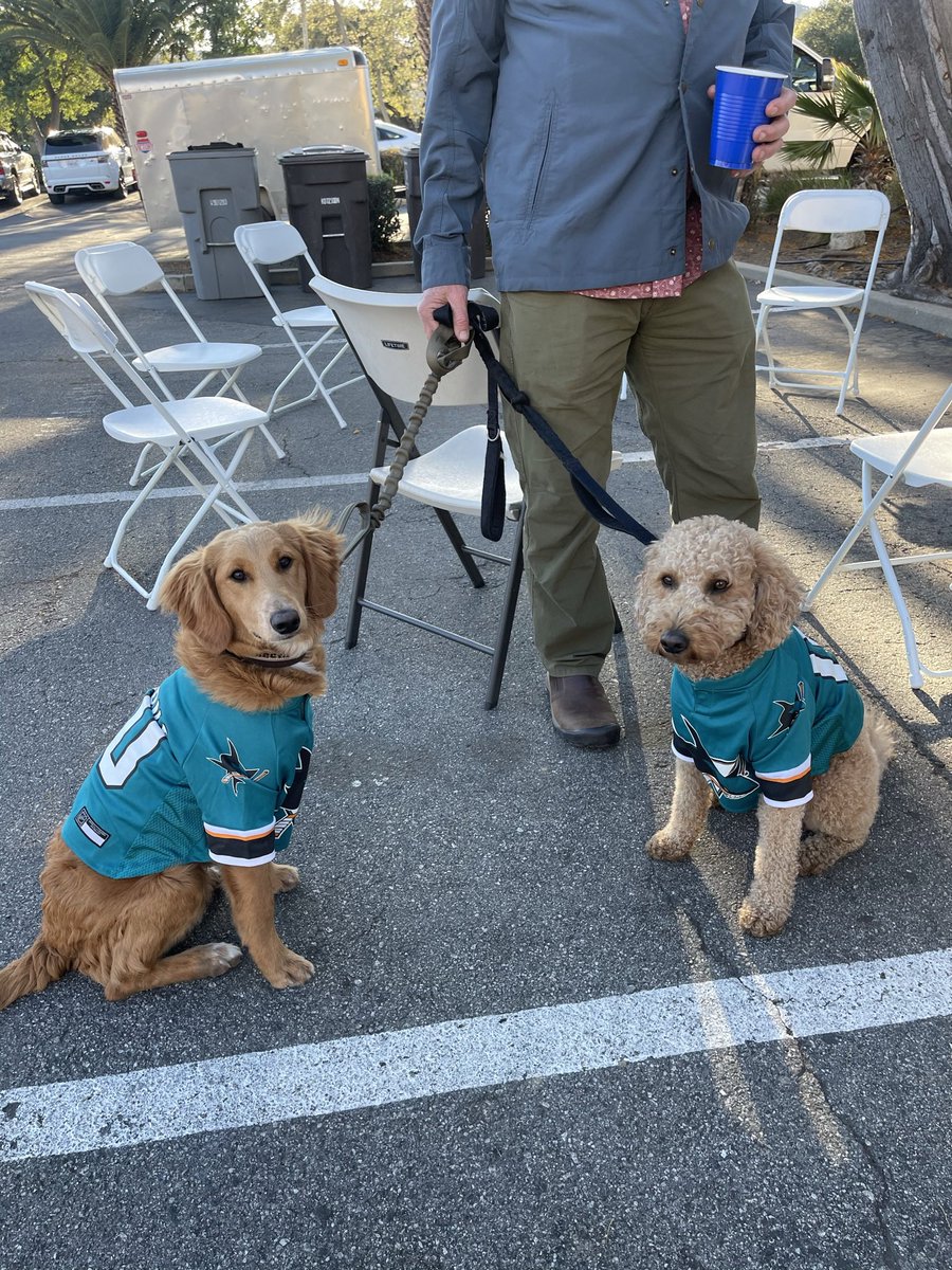 susan_fixsen's tweet photo. @SanJoseSharks Shark pups!!! @susan_fixsen   @SharkPups https://t.co/9pWYIYxYO5