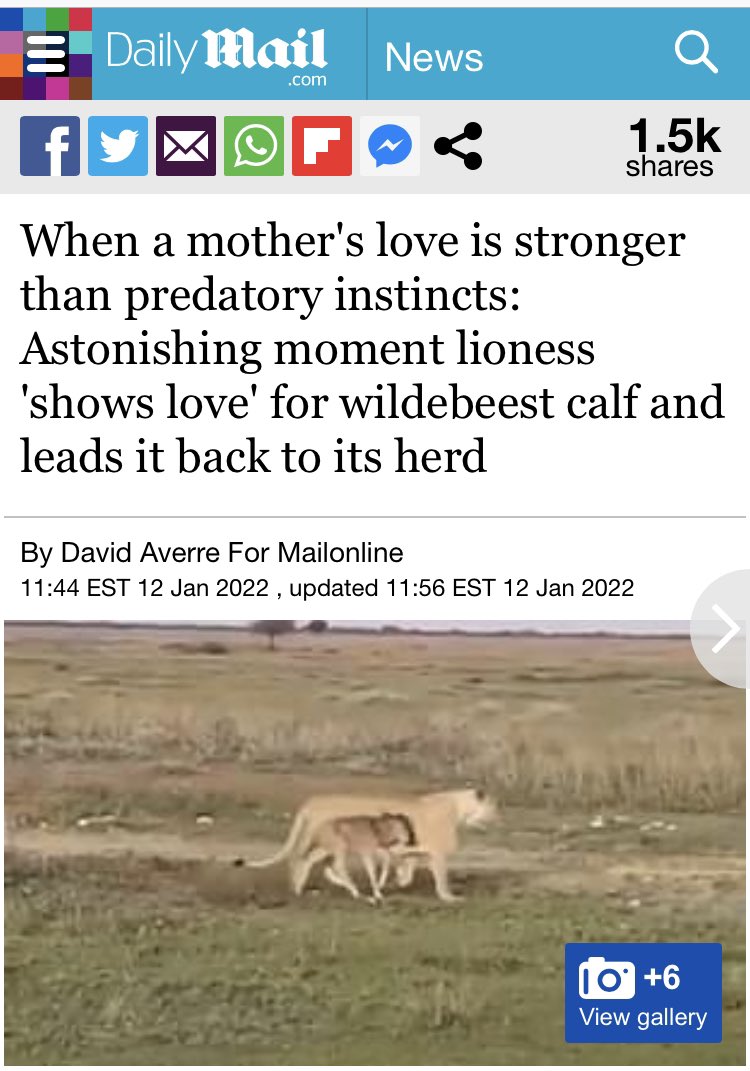freshstartdad's tweet photo. This may be lovely, but humans call this “farming” https://t.co/GtSnhYKQDS