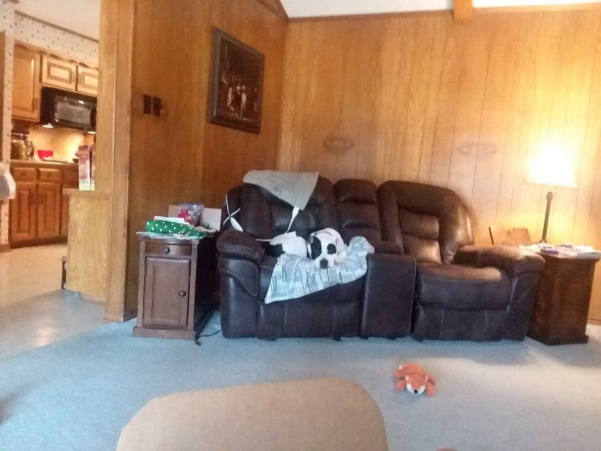 hogan_nora's tweet photo. Here I am. I don't look spoiled do I???  My toys are all put up in the tubbie. https://t.co/e8J16u8jIb