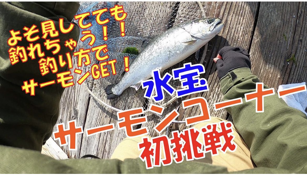 海上釣り堀 Twitter Search Twitter