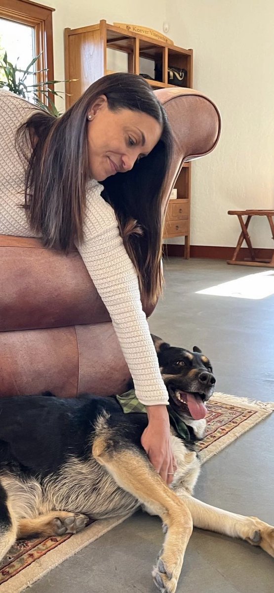 alannarizzo's tweet image. Just adopt, for the love!