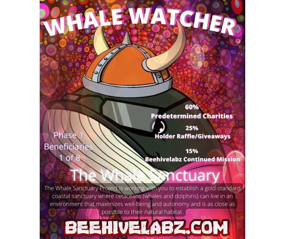 Beehive_0x's tweet photo. We will have 8 donation recipients per phase of our project! This is one of them from phase 1 @Whale_Sanctuary #NFT #NFTCommmunity #NFTdrop #Gainsforgood #Beehivelabz https://t.co/VULprJZ2T5