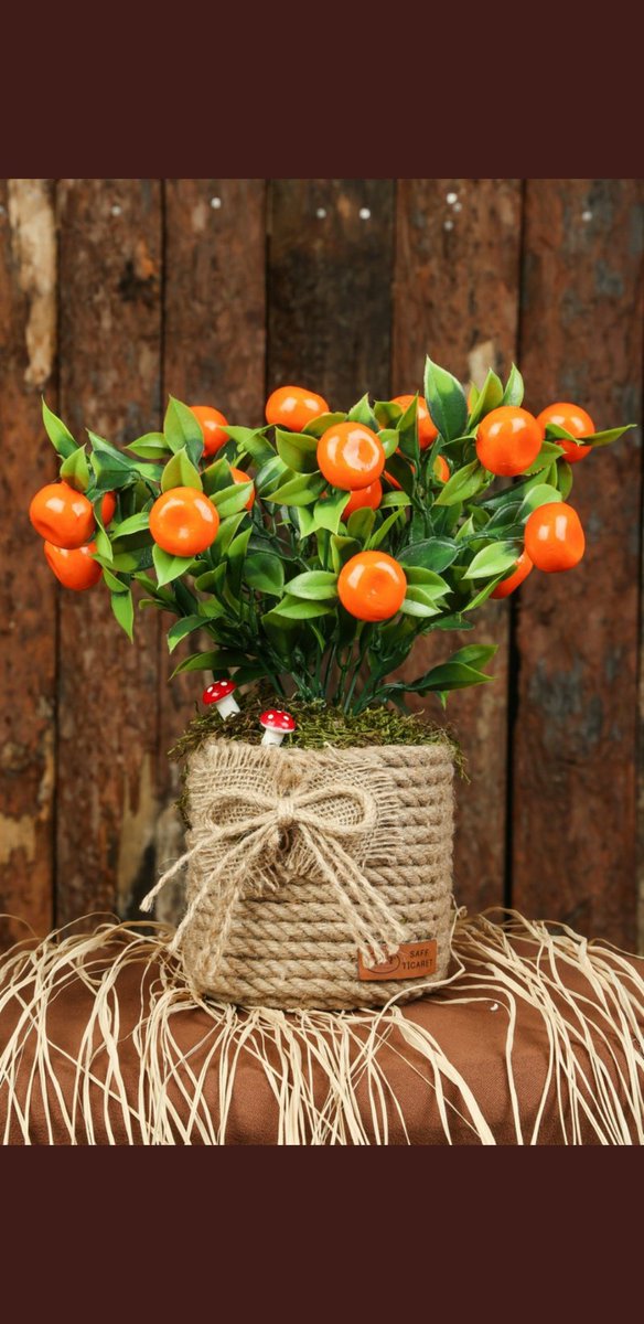 Yapay dekoratif saksılı ağaç ve çiçek 
İnstagram: instagram.com/saffticaret?ut…
#guenaydın #CocuklarAnnesizKalmasın #karmatuerkiye #mugeanli #DurmakYokZAMaDevam #yuezdeyuezmuezik #muegeanlı #AliKocİstifa #oelmemis #TSvGOEZ #bjkvgöz #GSvBJK #FBvsTS #instagram #facebookdown