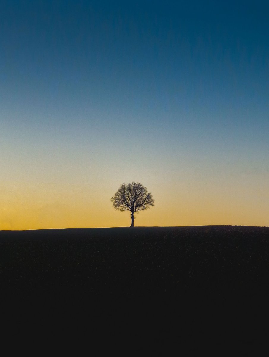 Michal Sadowski tweet media