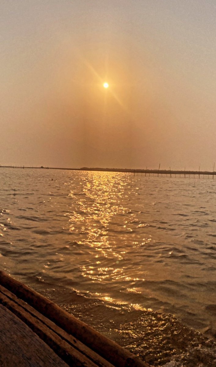 Happy Sunday!🌄 

Do you have any plans today?🤍