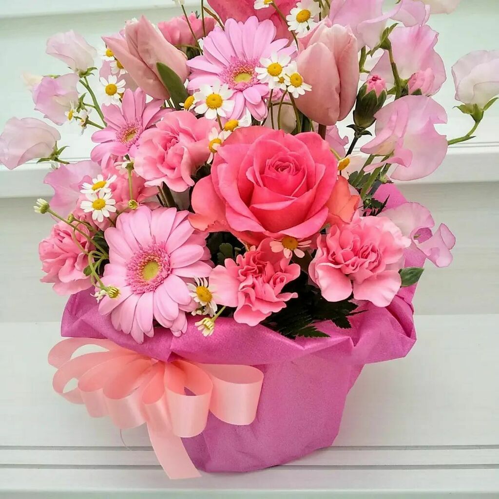 花だより Hanadayori5 Twitter