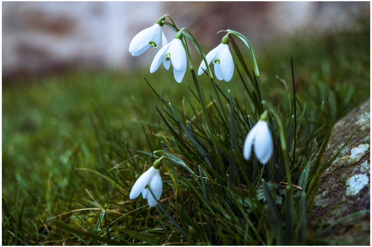 Another year passes. It’s 26 now and the sadness at what happened in my wee school never goes away.❤️