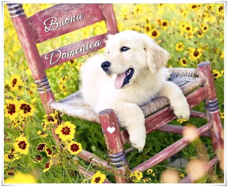 Massimo Borghi tweet media