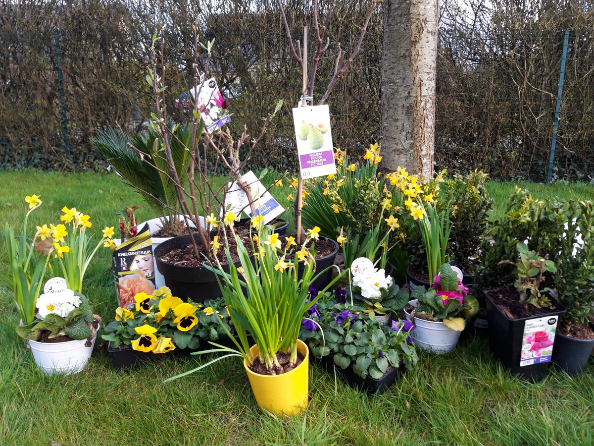 ClineFournier8's tweet photo. Les plantations se préparent pour le mois de la forêt au @LPo_Sorel14 grâce à Carrefour Touques et aux pépinières Houssaye. Un grand merci à ces entreprises pour leur soutien à nos actions Développement Durable. @ac_normandie https://t.co/9VzoASnH0t