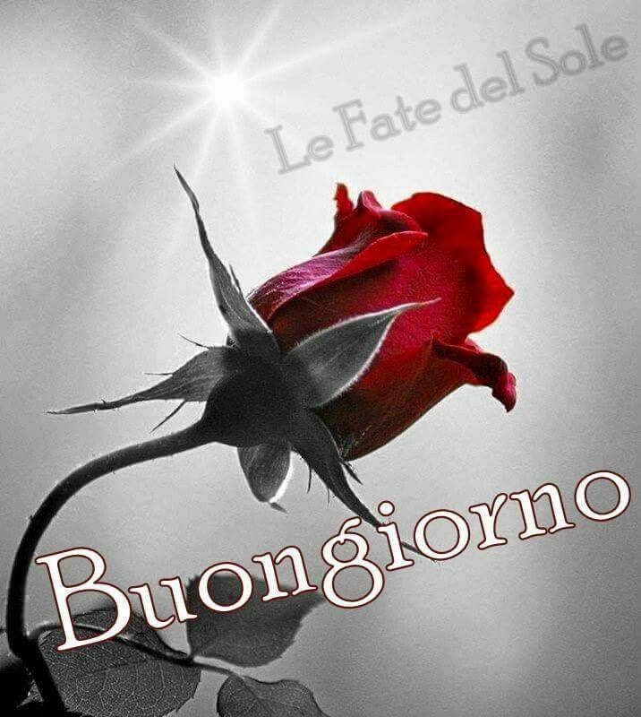 Anitasamp 🇮🇹🏴🇮🇹 tweet media