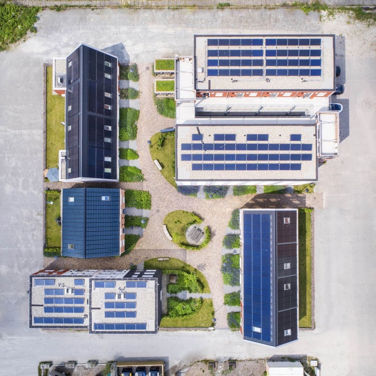 Peter Hutten tweet media