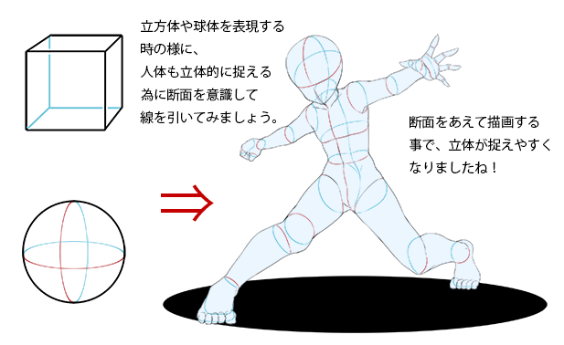 ichiup_net's tweet photo. 輪切りにするとよく分かる！人物のアタリの取り方のコツ！！

カッコイイポーズ案は浮かぶのに、いざアタリを取ってみると上手く描けなくて諦めてしまう、なんて経験はありませんか？
 
そんな方におすすめです！✍️

https://t.co/H8JRaHTWLj
#絵が上手くなる記事はコレ #いちあっぷ https://t.co/t8qNH7n1p9