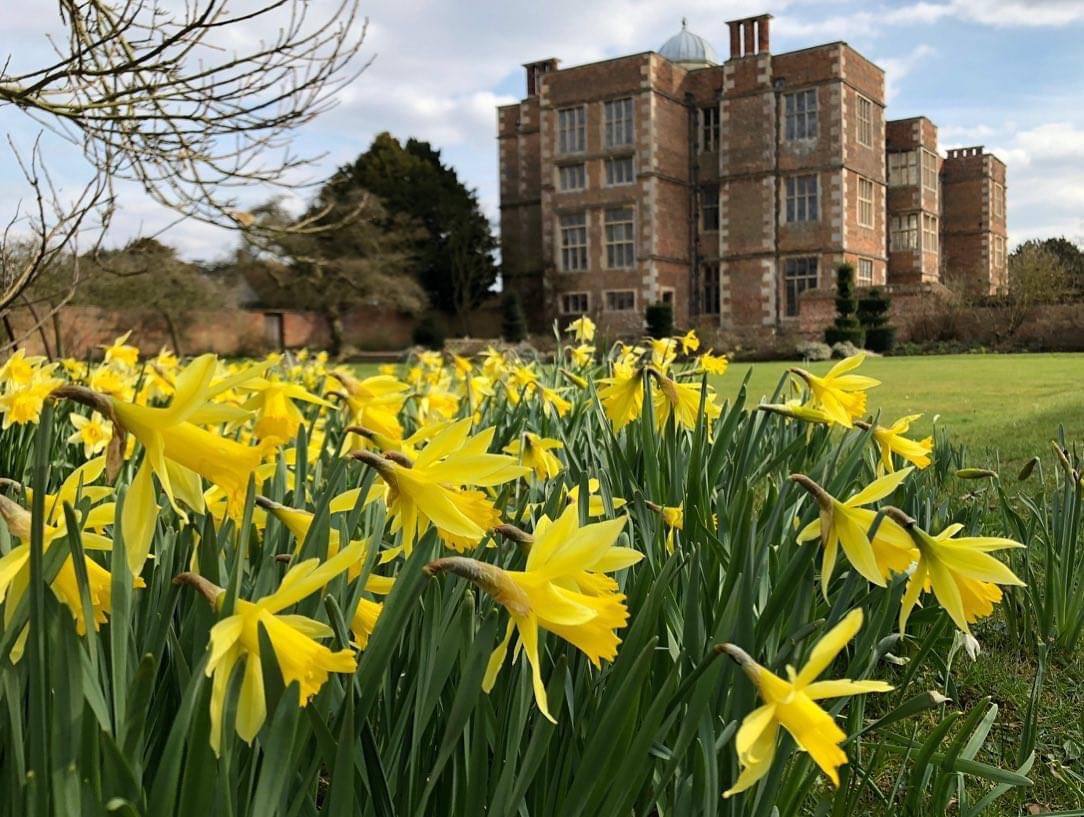 Doddington Hall tweet media
