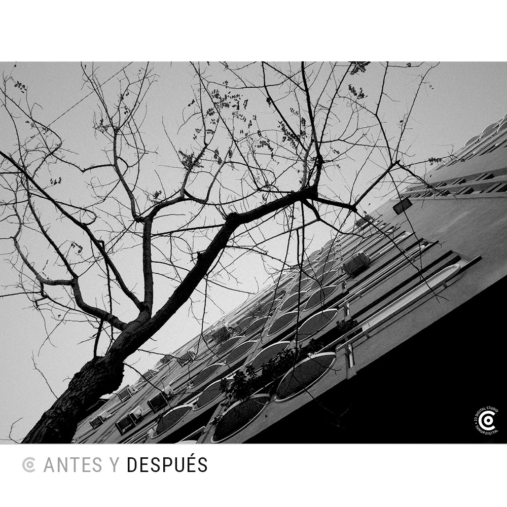 23DigitalStudio's tweet photo. Perspectivas nuevas que se encuentran al levantar la vista 📸

#23digitalstudio #23DS #streetphotography #Fotografia https://t.co/mtMNzGDttX