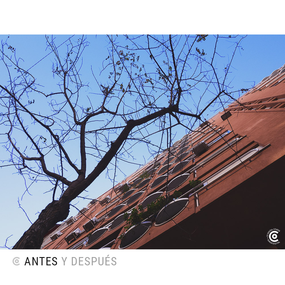 23DigitalStudio's tweet photo. Perspectivas nuevas que se encuentran al levantar la vista 📸

#23digitalstudio #23DS #streetphotography #Fotografia https://t.co/mtMNzGDttX