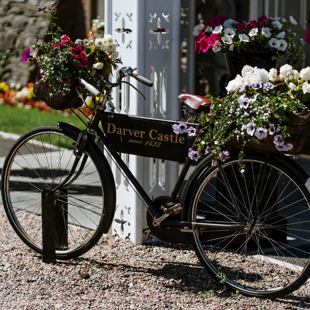 Darvercastle's tweet photo. Spring at Darver Castle 🌺
Attention to detail is what we do best here at Darver Castle. Are you ready to start planning your bespoke wedding of dreams? Visit https://t.co/1eZPVJTG4v to find out more ♥️
#darvercastle #dreamweddingvenue #weddingvenueireland https://t.co/F1SBUAFRxv